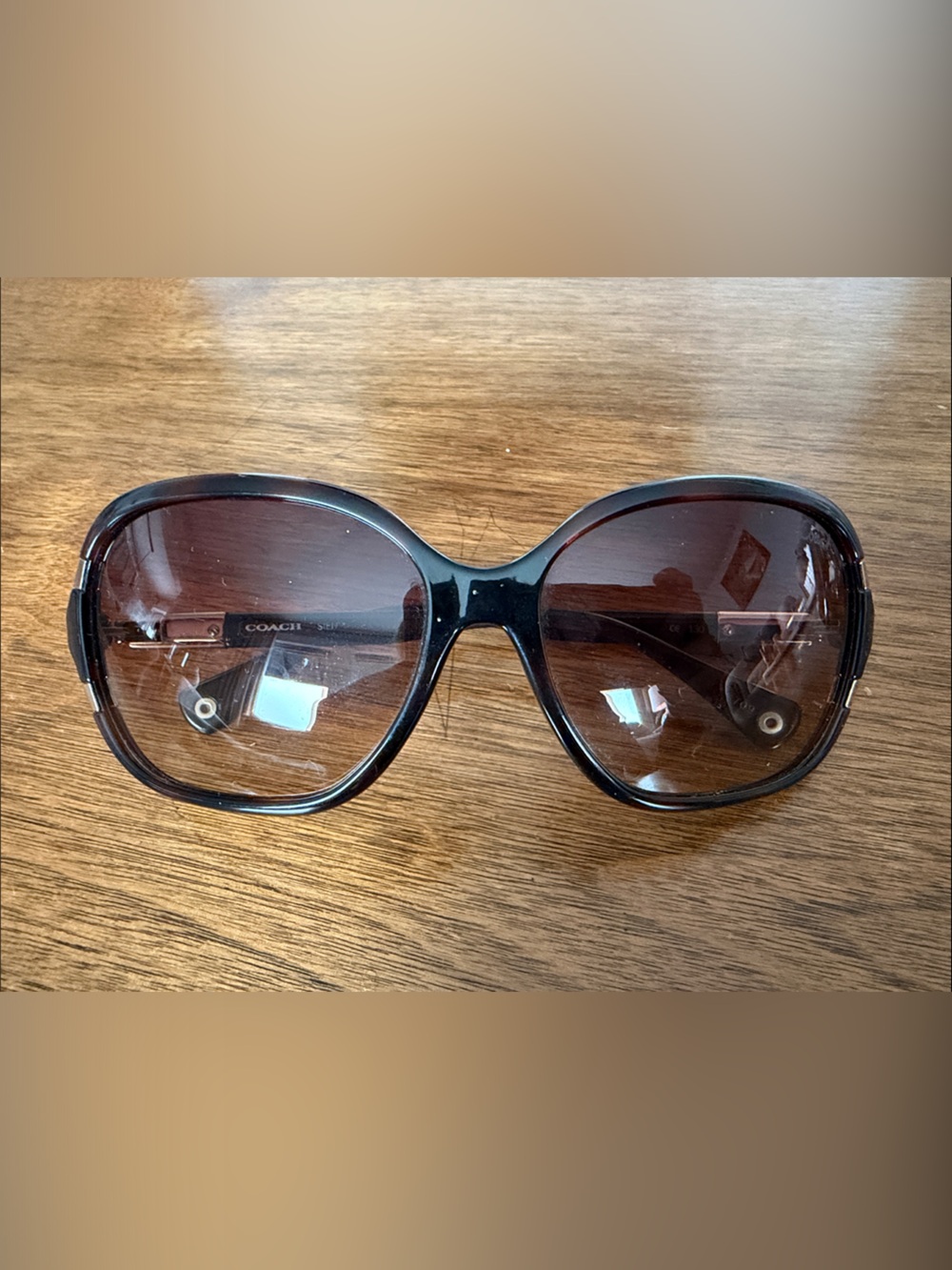 Coach Brown Gradient Oversized Sunglasses